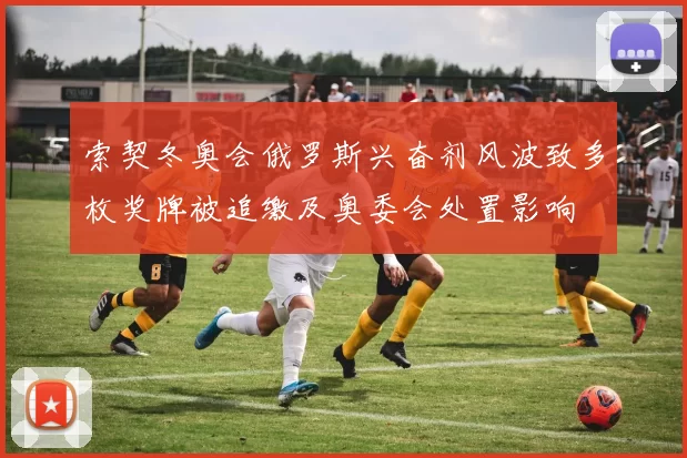 索契冬奥会俄罗斯兴奋剂风波致多枚奖牌被追缴及奥委会处置影响