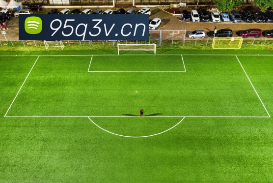 足球世界杯官网中文版平台生态图